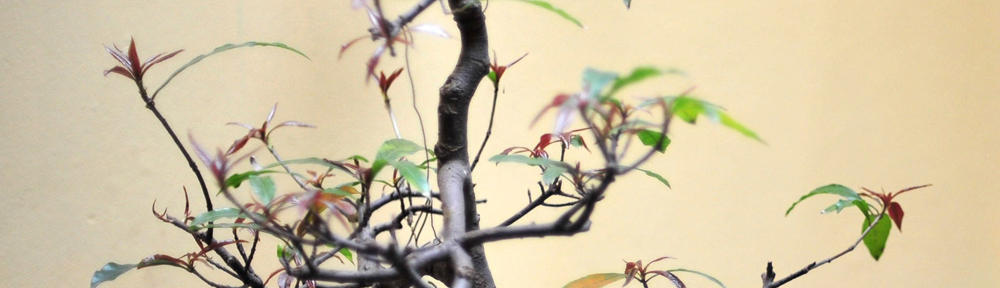 Rezepte von Anne und Chris